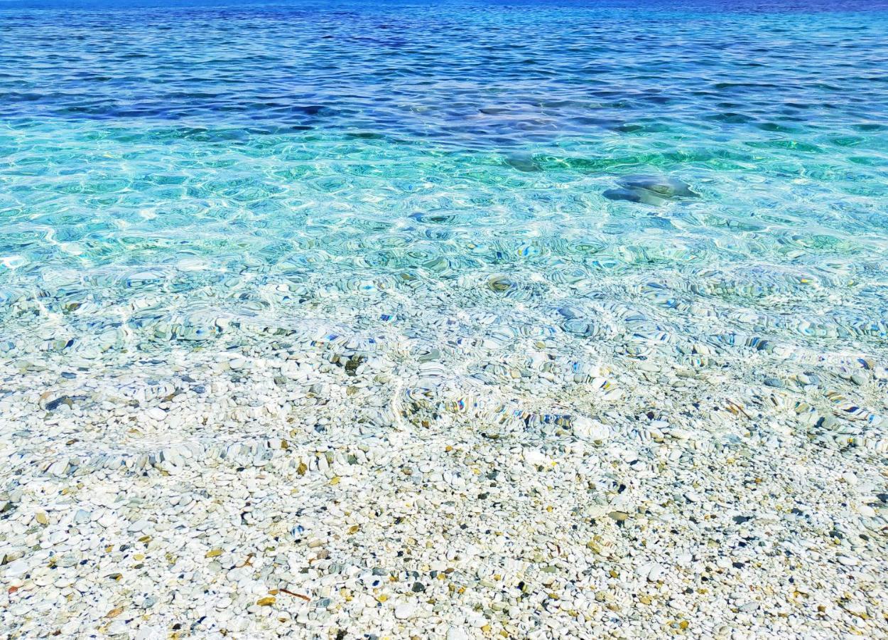 شقة Ghiaie Sea View بورتوفيرّايو المظهر الخارجي الصورة