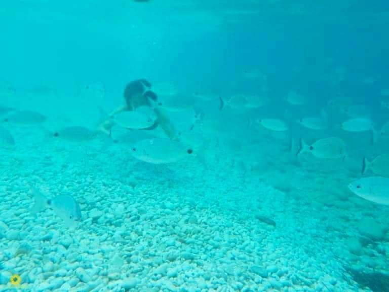 شقة Ghiaie Sea View بورتوفيرّايو المظهر الخارجي الصورة